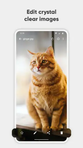 Simple Gallery Pro screenshot