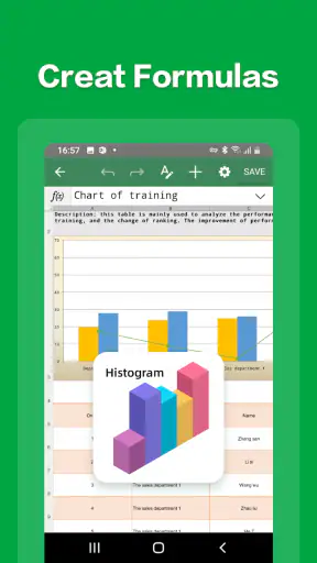 Spreadsheet Editor:excel,word screenshot