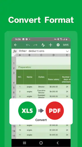 Spreadsheet Editor:excel,word screenshot