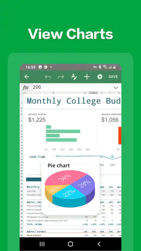 Spreadsheet Editor:excel,word screenshot