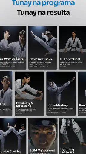 Taekwondo Kicks Training screenshot