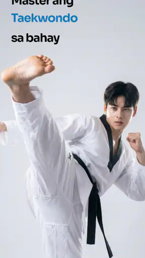 Taekwondo Kicks Training screenshot