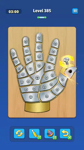 Take Off Bolts: Screw Puzzle screenshot