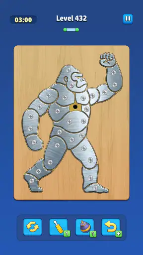 Take Off Bolts: Screw Puzzle screenshot