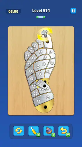 Take Off Bolts: Screw Puzzle screenshot