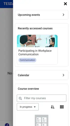 TESDA Online Program screenshot