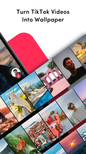 TikTok Live Wallpaper screenshot