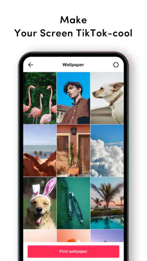 TikTok Live Wallpaper screenshot