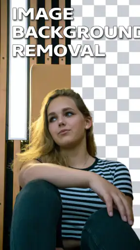 Video Background Remover screenshot