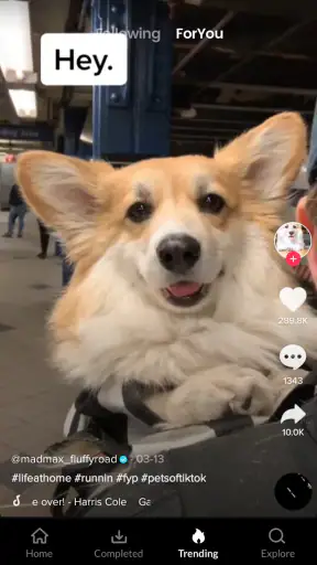 Video Downloader No Watermark screenshot