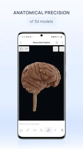 VOKA 3D Anatomy & Pathology screenshot