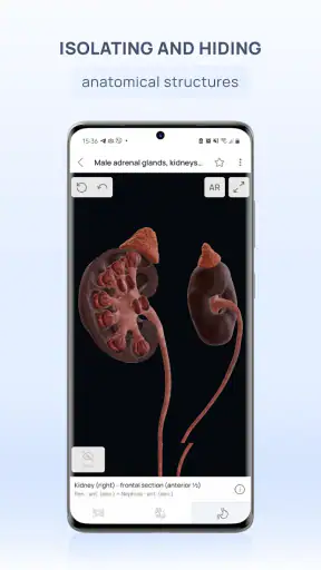 VOKA 3D Anatomy & Pathology screenshot