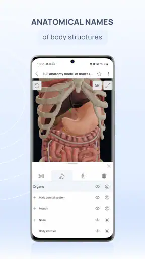 VOKA 3D Anatomy & Pathology screenshot