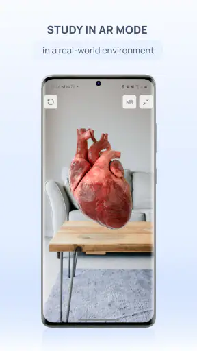 VOKA 3D Anatomy & Pathology screenshot