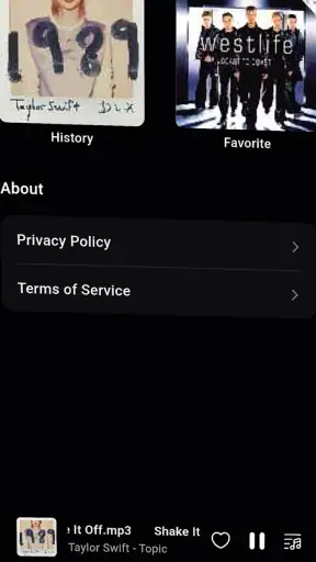Voxify-Offline na Music Player screenshot