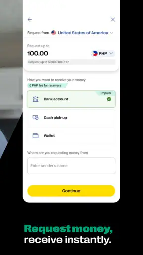 Western Union Money Transfer screenshot