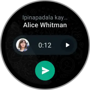 WhatsApp Messenger screenshot