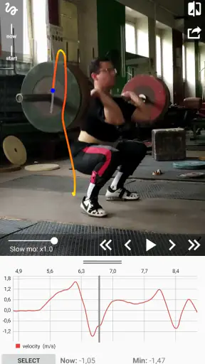 WL Analysis - bar path tracker screenshot