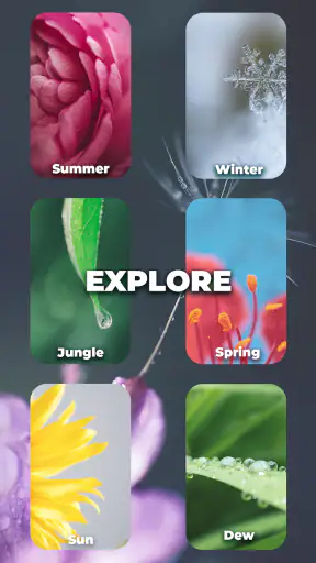 Word Crossed: Word puzzle game screenshot