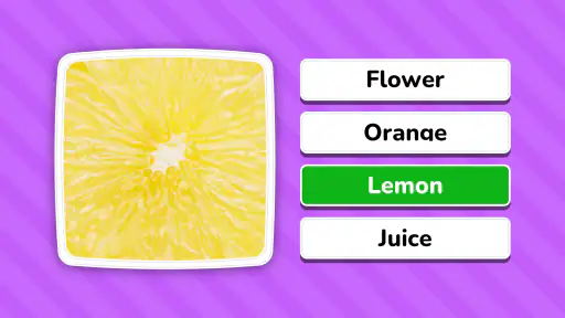 Zoom Quiz: Close Up Pics Game screenshot