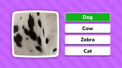 Zoom Quiz: Close Up Pics Game screenshot