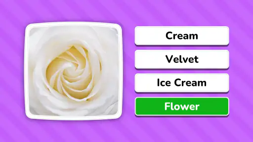 Zoom Quiz: Close Up Pics Game screenshot