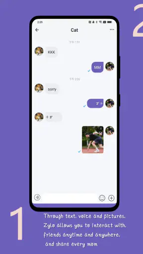 Zylo screenshot