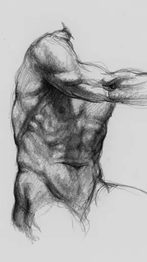 3D Anatomy for the Artist screenshot