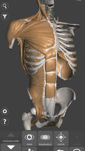 3D Anatomy for the Artist screenshot