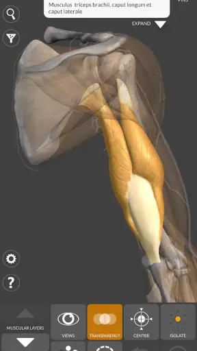 3D Anatomy for the Artist screenshot