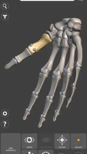 3D Anatomy for the Artist screenshot