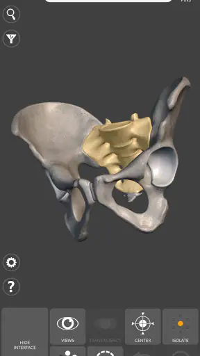 3D Anatomy for the Artist screenshot