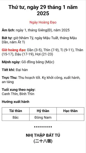 Âm lịch Việt Nam screenshot