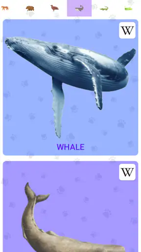 Animal Sounds screenshot