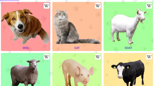 Animal Sounds screenshot