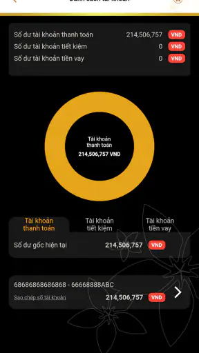 BAC A BANK Corporate Banking screenshot