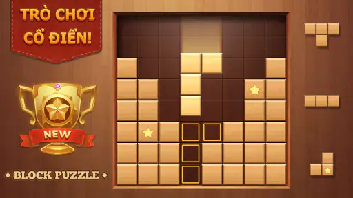 Block Puzzle Wood Blast screenshot