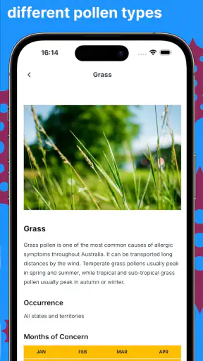 Canberra Pollen Count screenshot