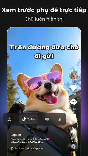 Captions AI - Auto Captions screenshot