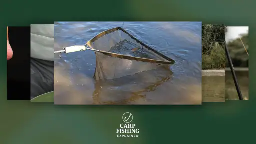Carp Fishing Explained screenshot