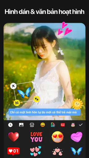 Chỉnh sửa video hiệu ứng screenshot