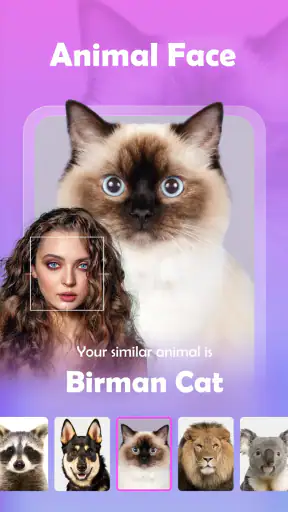 CoCola: Aging & AI Stylist screenshot