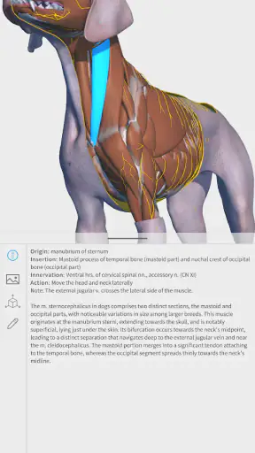 Complete Canine 3D - anatomy screenshot