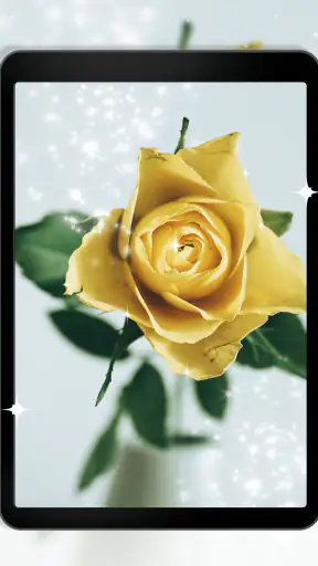 Đồng hồ hình nền sống Hoa hồng screenshot