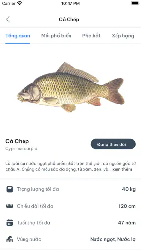 Fishmap screenshot
