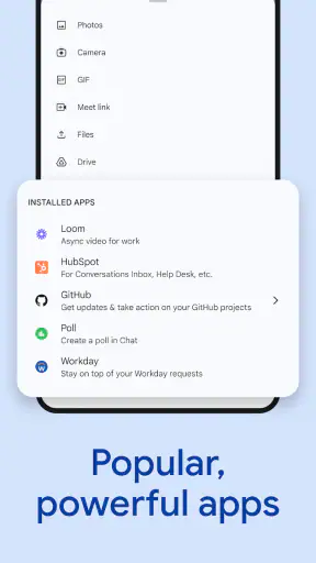 Google Chat screenshot