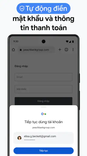 Google Chrome screenshot