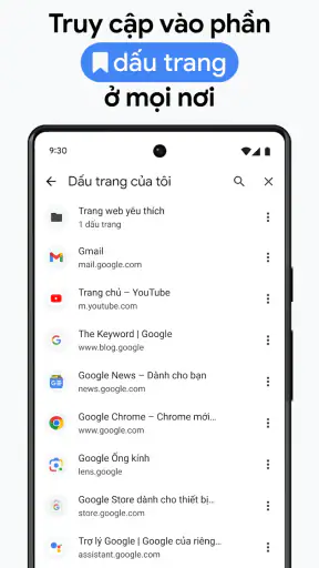 Google Chrome screenshot