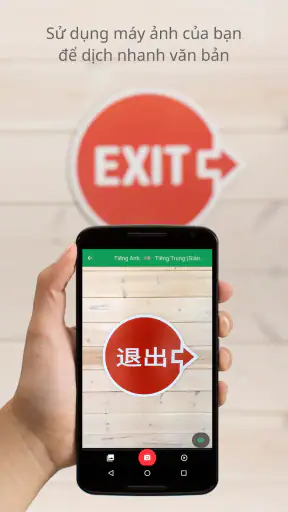 Google Dịch screenshot