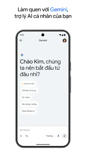 Google Gemini screenshot